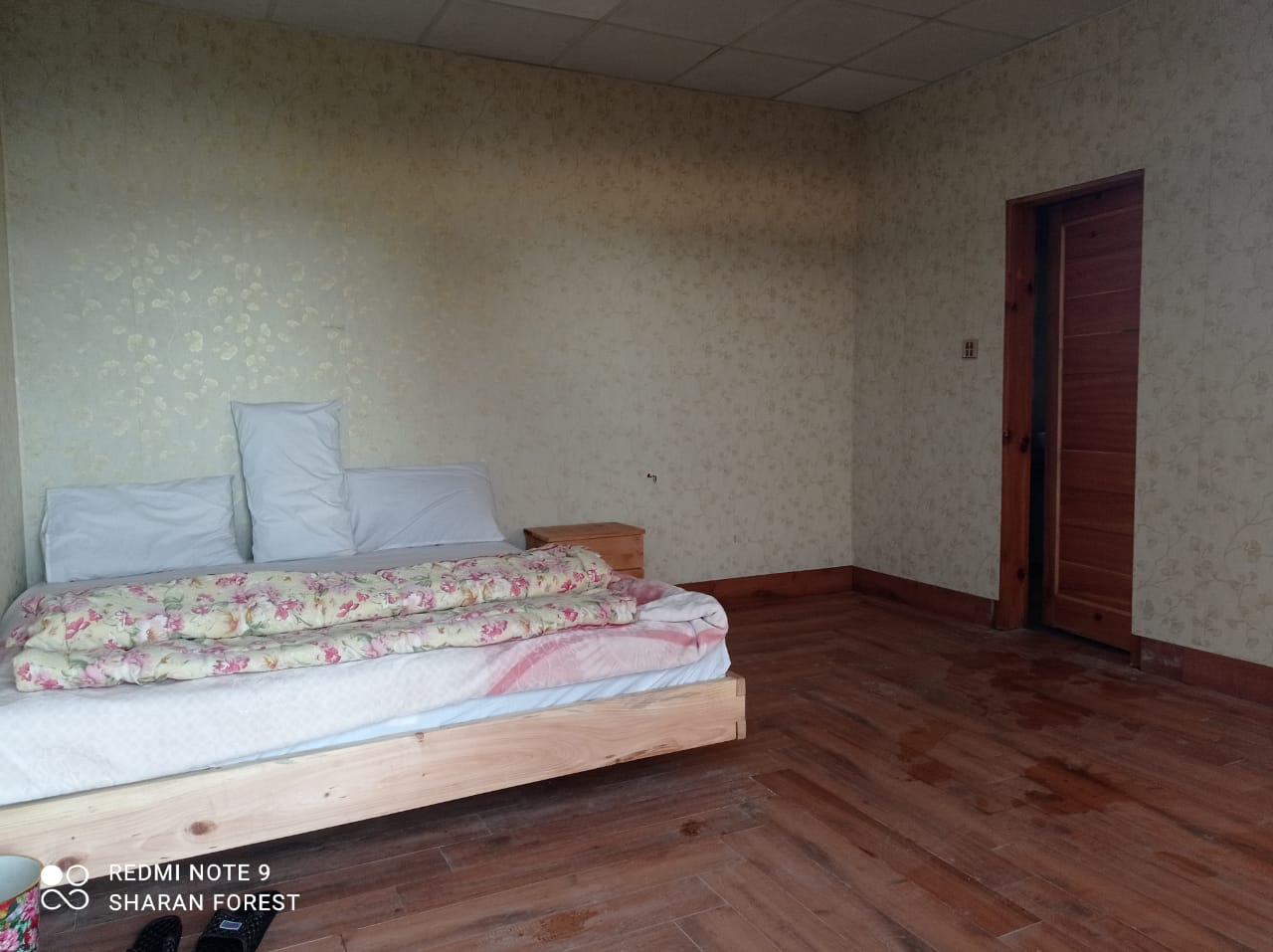 Sharan Forest Glamping